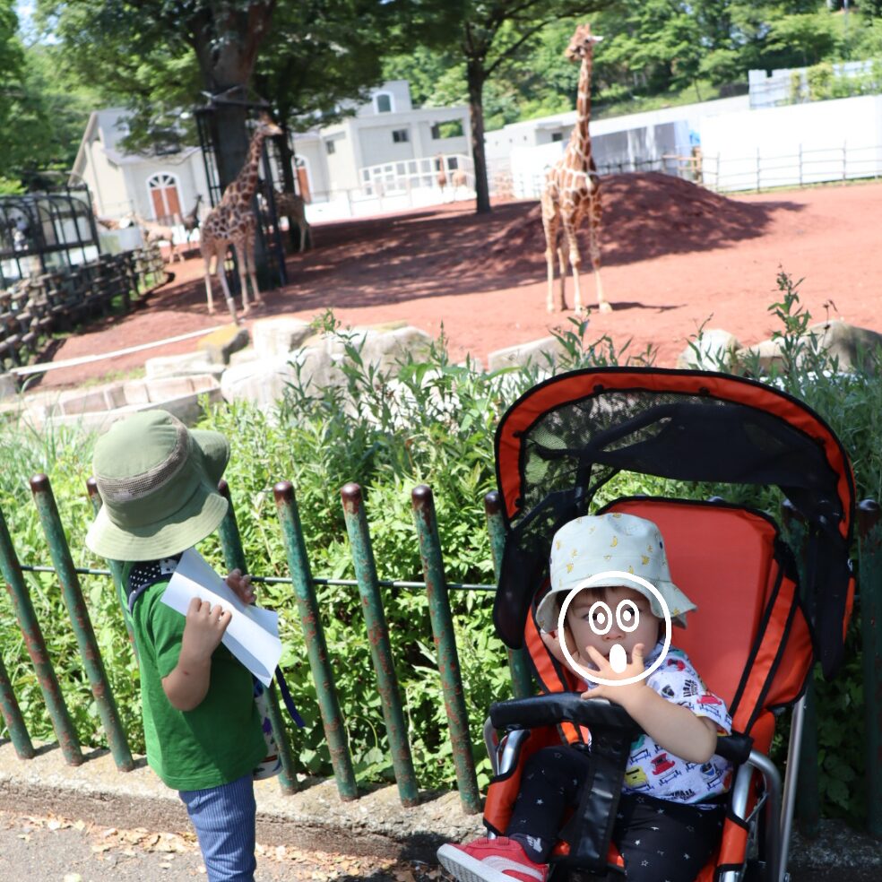 久々に多摩動物公園の入園予約が不要になったよ！思い立ったら動物園へ