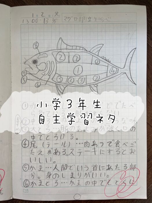 大人も思わず感心…。小学３年生【自主学習(自学)】ネタが面白い！！