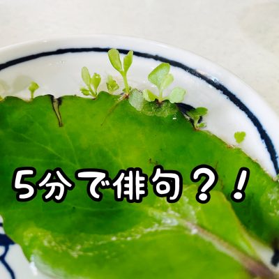 あなたも5分で小林一茶！？超簡単に俳句を詠んでみよう！