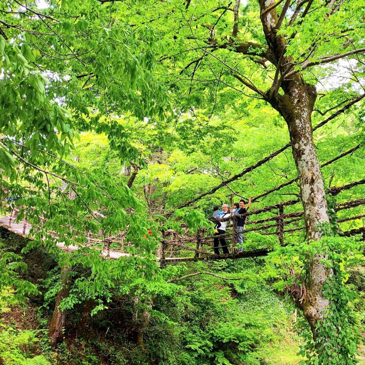 【北陸新幹線開通記念】福井県出身ママが教える福井観光「アクティブママ編」