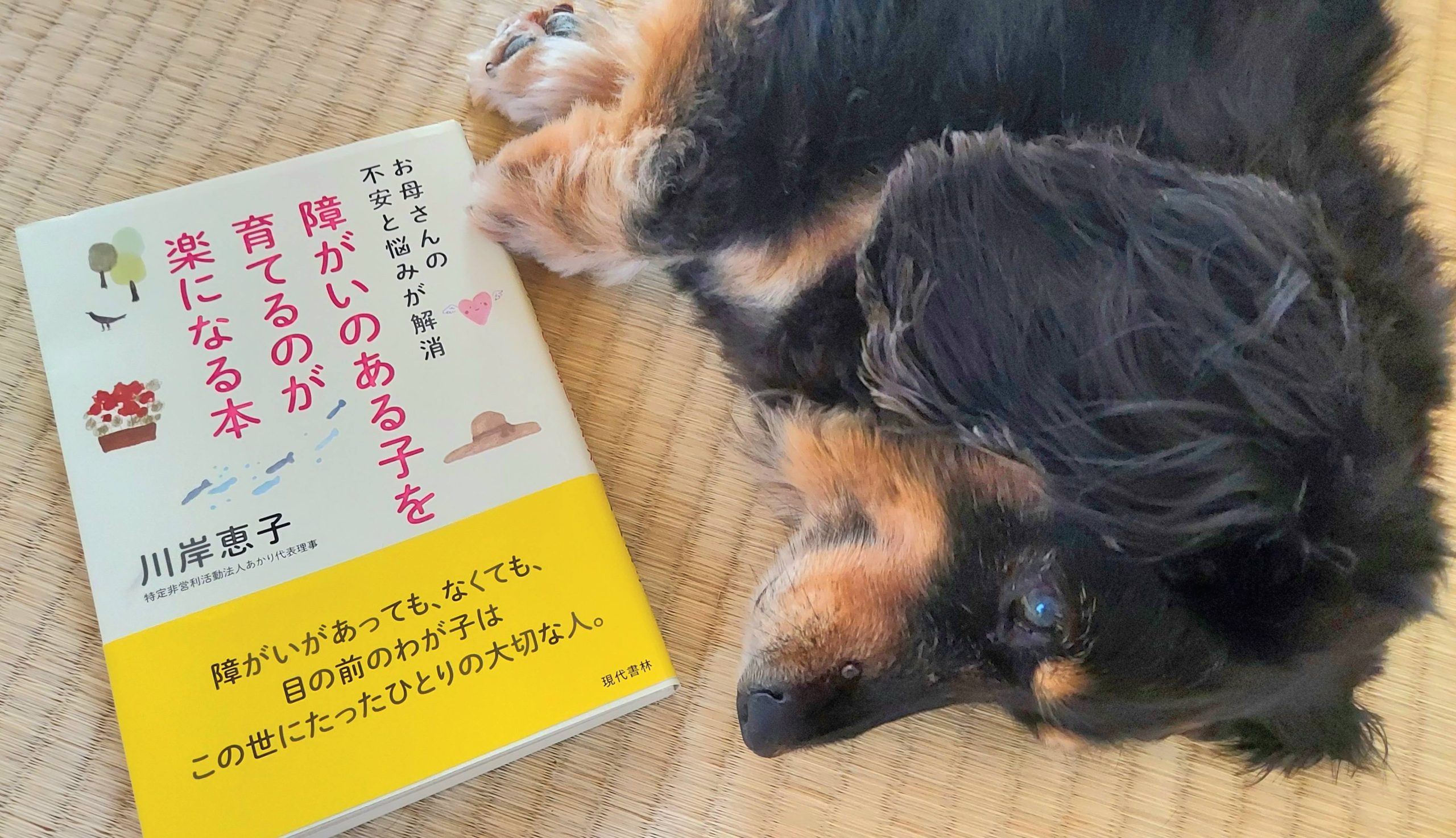 【発達障害】選んだ療育施設は見学前に最下位候補だった。なぜそこに？参考にした本も紹介！