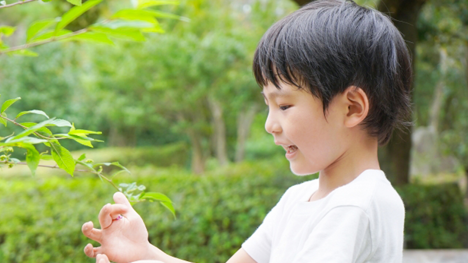 「問いを立てる力」は幼児期から育つ〜モンテッソーリに学ぶ大人の関わり方