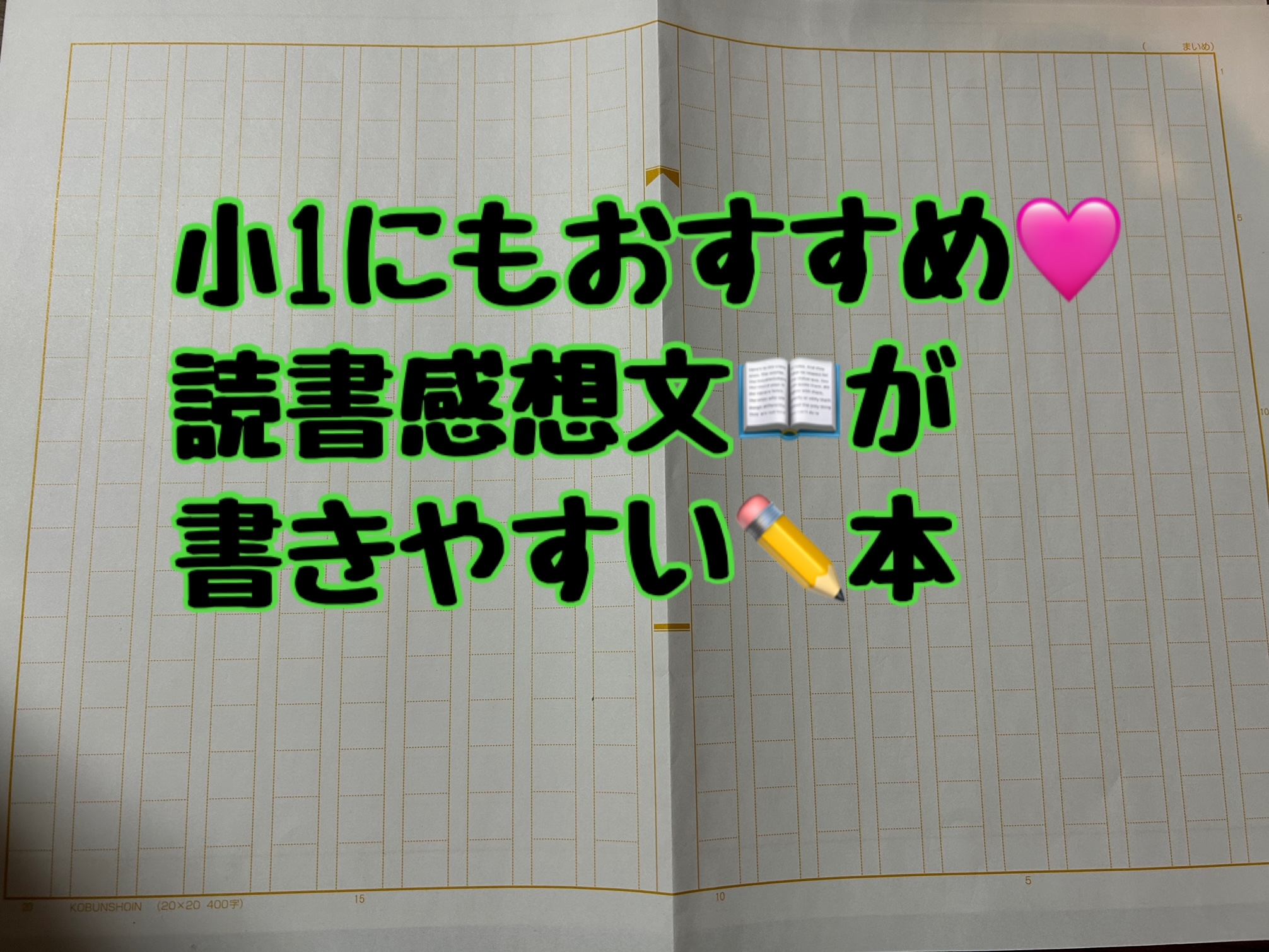 【小１・夏休みの宿題】初めての読書感想文に選んだ本は！？