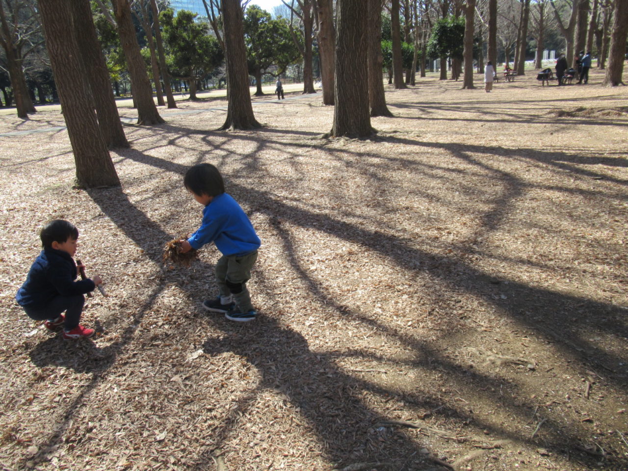 季節や自然から子どもは学ぶもの。そこで大人が知っておきたい72候とは