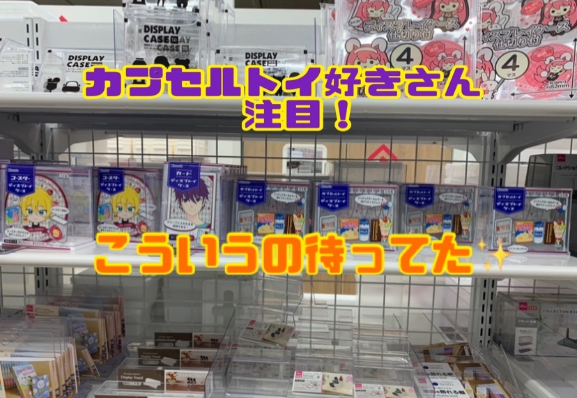 【ダイソー】こんなの待ってた！カプセルトイを綺麗に並べて飾れる便利なケース