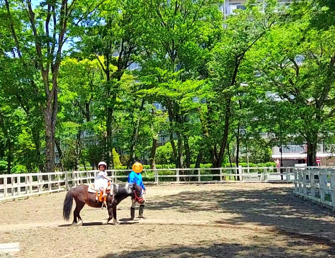 【無料動物園】待ち時間ほぼ無し！ポニー乗馬もモルモットの抱っこもできちゃう