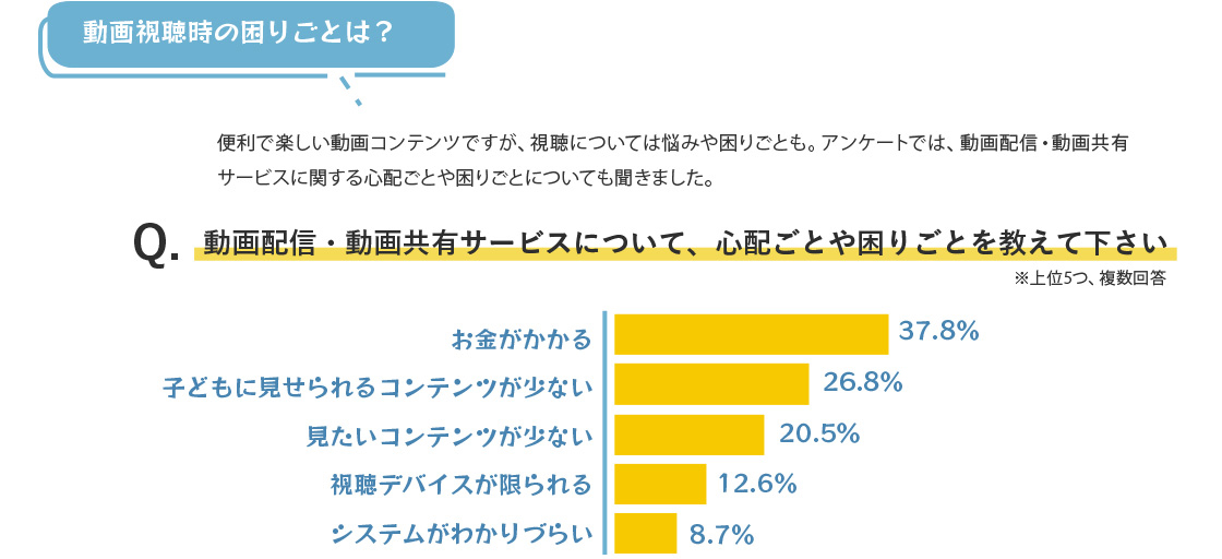 動画配信・動画共有サービスについて、心配ごとや困りごとを教えて下さい