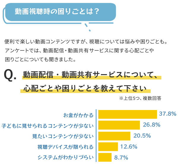 動画配信・動画共有サービスについて、心配ごとや困りごとを教えて下さい