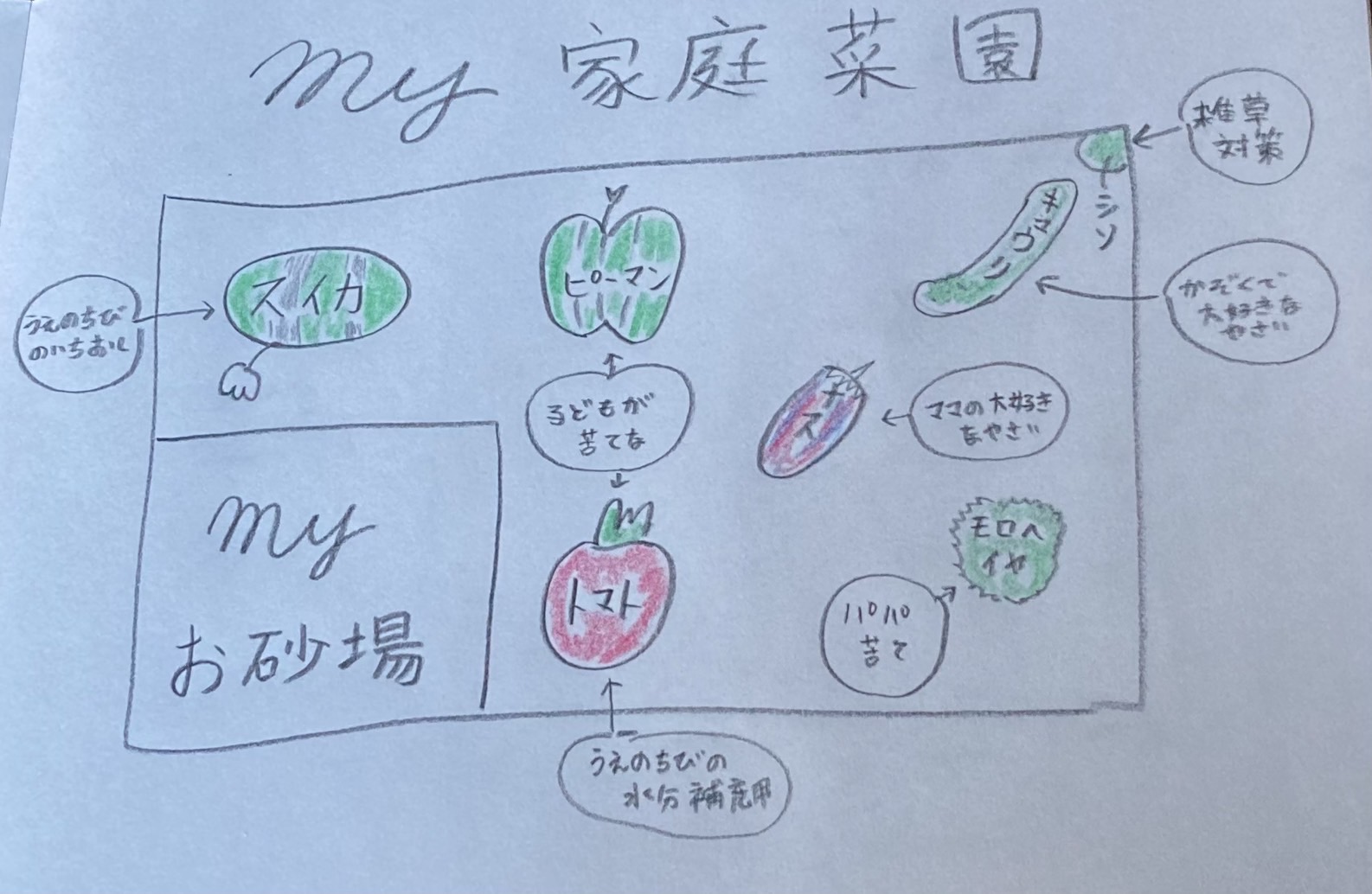 【植え付け編】えっ！！こんなんで良いの？～親子家庭菜園～