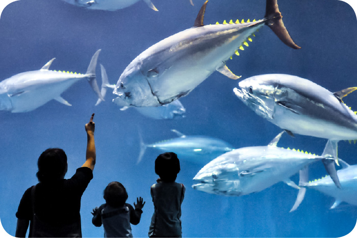 葛西臨海水族園