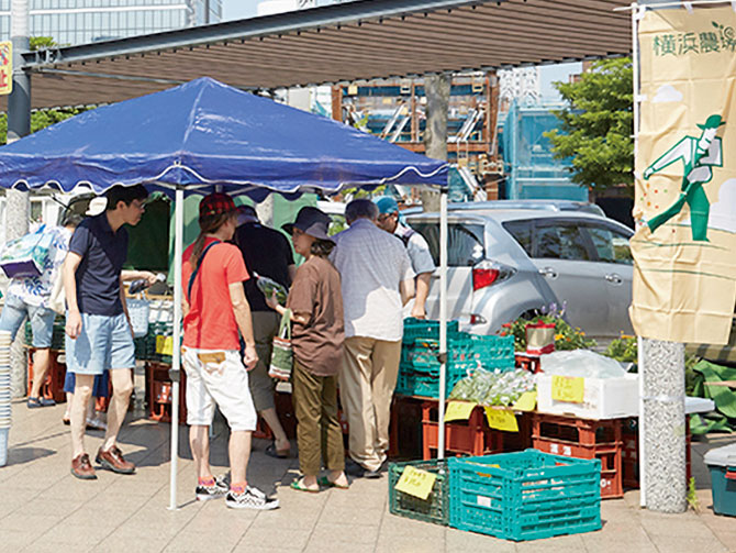 みなとみらい農家朝市