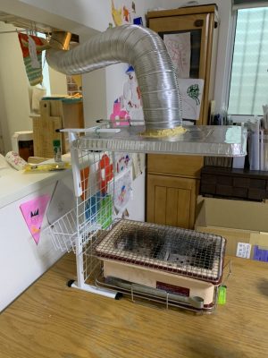 これなーんだ？DIY好き夫が作ったインパクト大な作品！