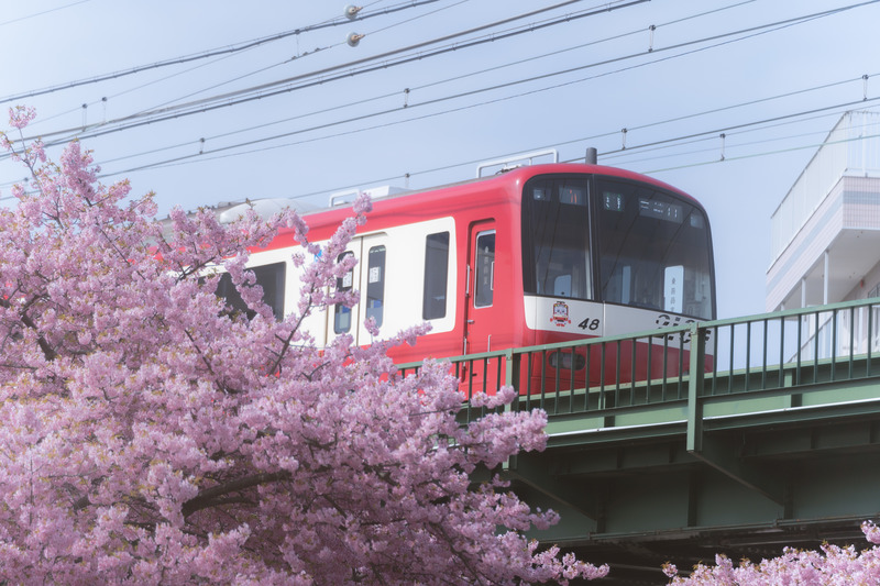 プールにサウナも！渋谷区の保養所「河津さくらの里しぶや」が神だった