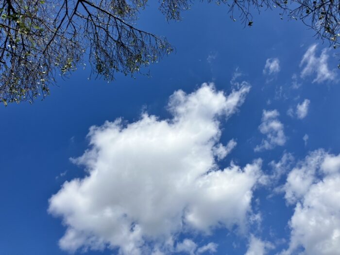 小学校何年生まで学童に通う？高学年の息子の実際の使い方