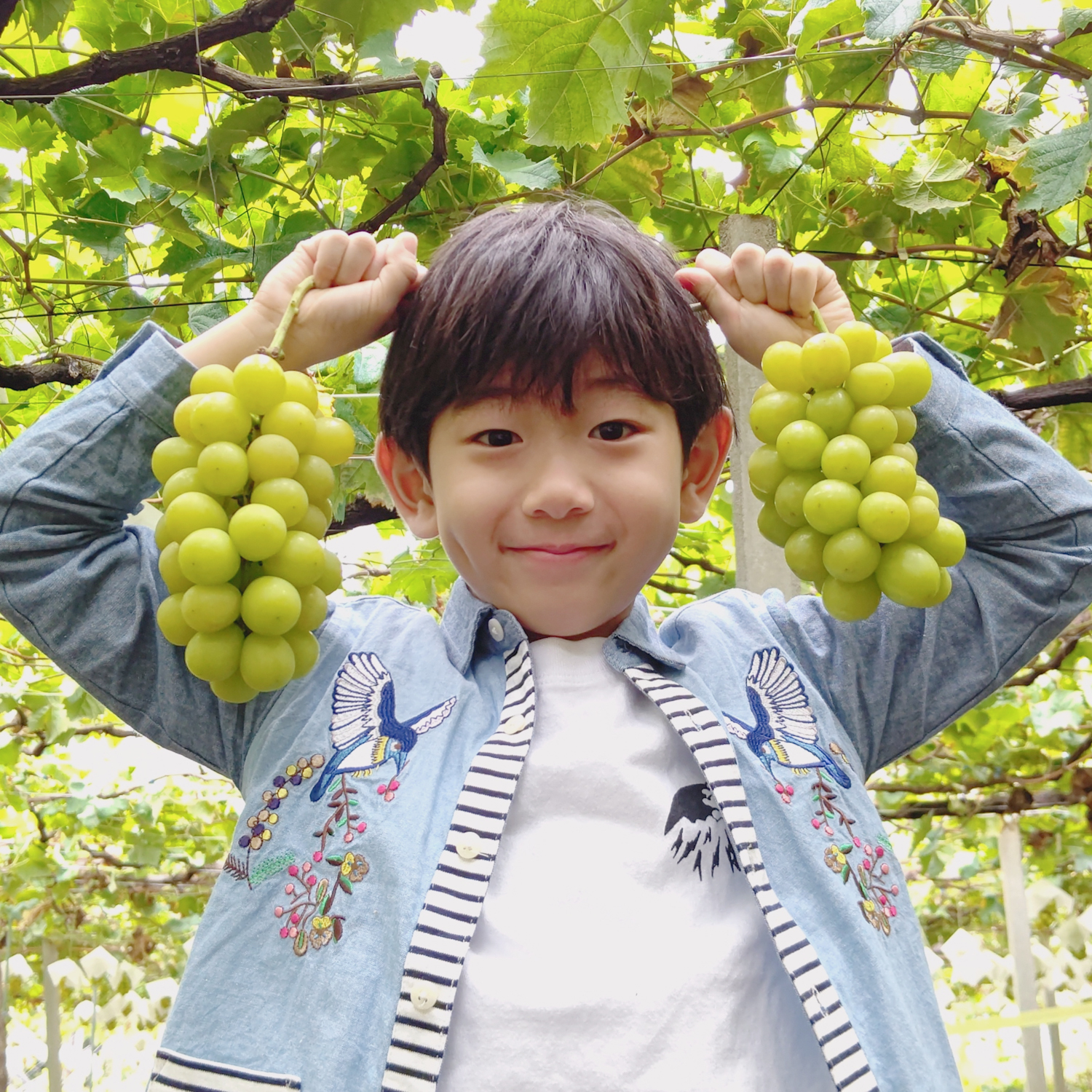 山梨県で一日遊ぼう！果物狩りに花畑、最後は温泉で癒されちゃおう！