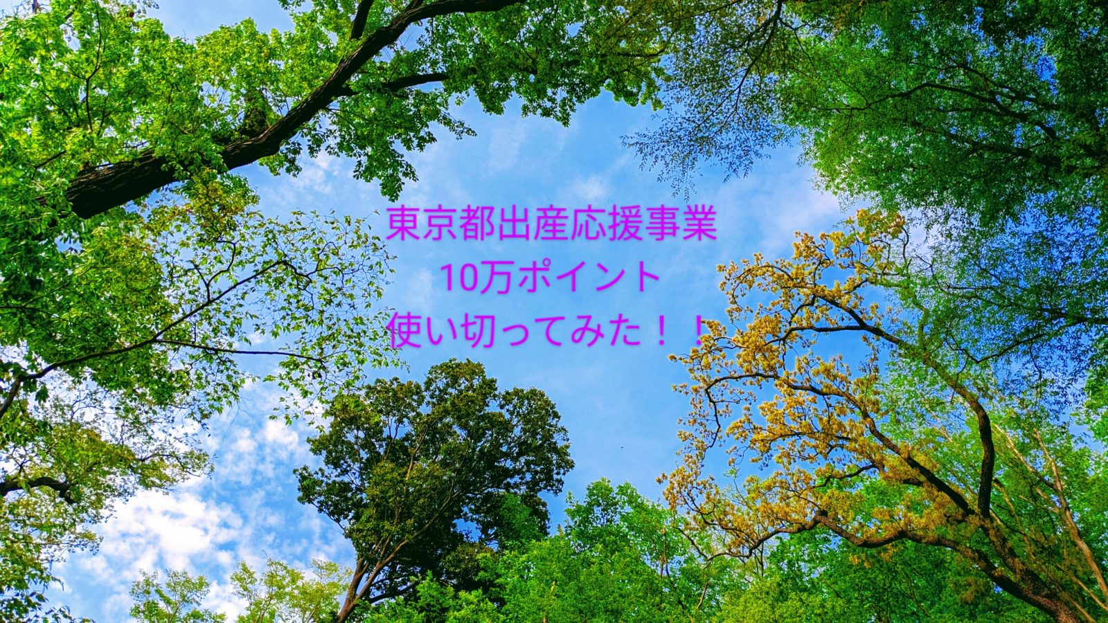 東京都出産応援事業10万円分のポイントの使い道＆お得な商品教えます！