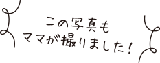 この写真もママが撮りました！