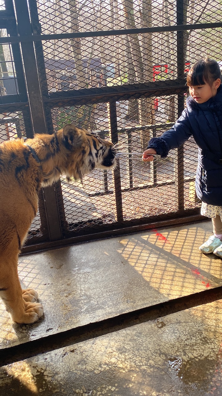 ゼロ距離!? デンジャラス!? 餌やり天国！もう他には行けなくなる覚悟で行く北海道「ノースサファリサッポロ」