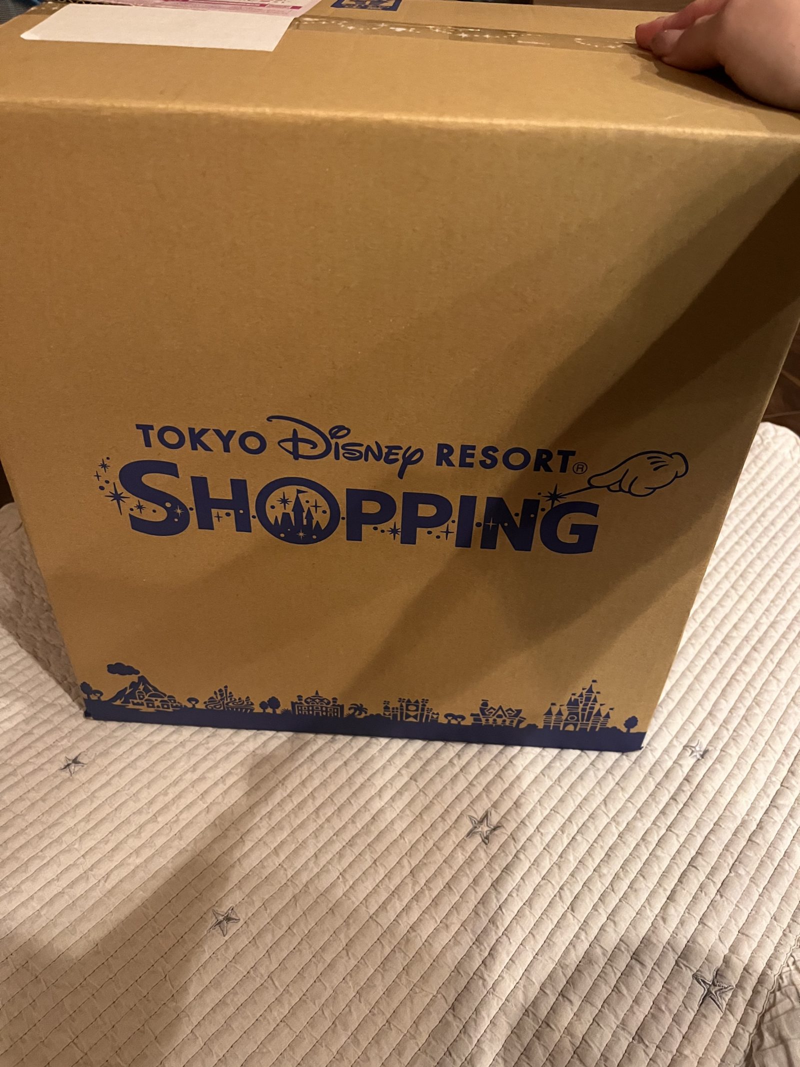 【子連れディズニー】お土産の買い方はこれがおすすめ！東京ディズニーリゾート・アプリのオンライン購入で効率よく♪自宅まで届くのが便利！