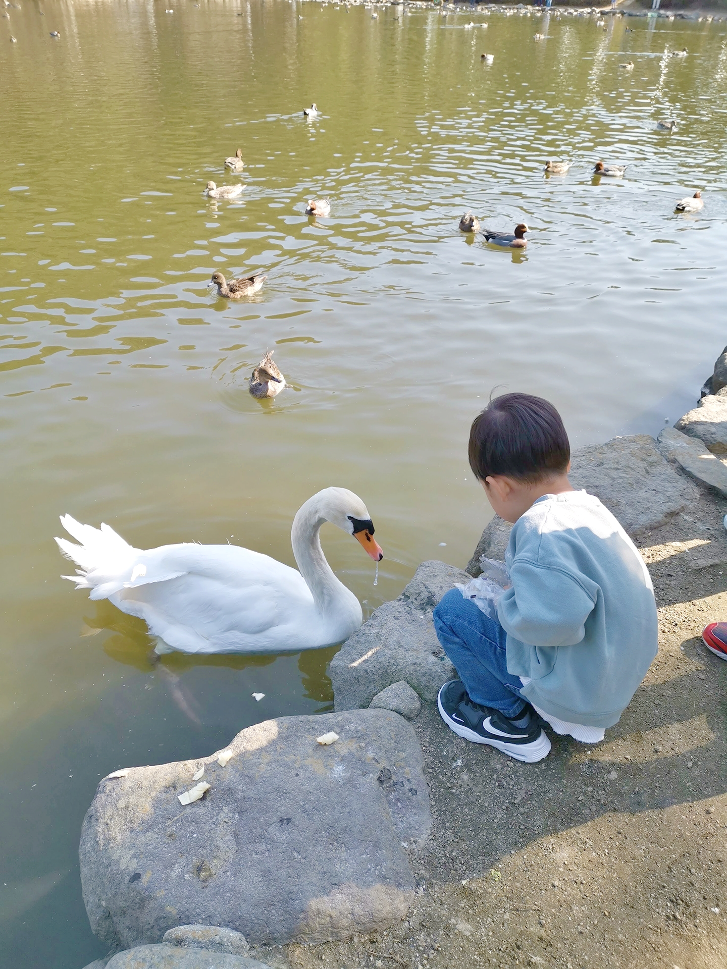 「入れてよかった！」と思った保育園から幼稚園に転園した理由