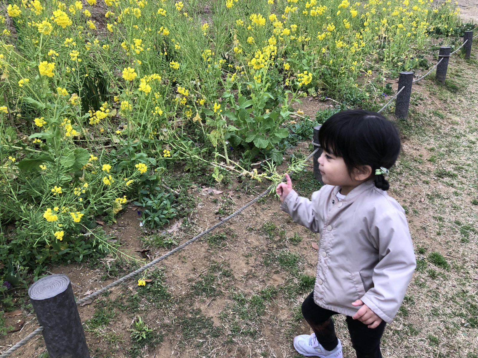 保育園から幼稚園へ転園を決意！最大の理由は教育方針と同じくらい惹かれた〇〇