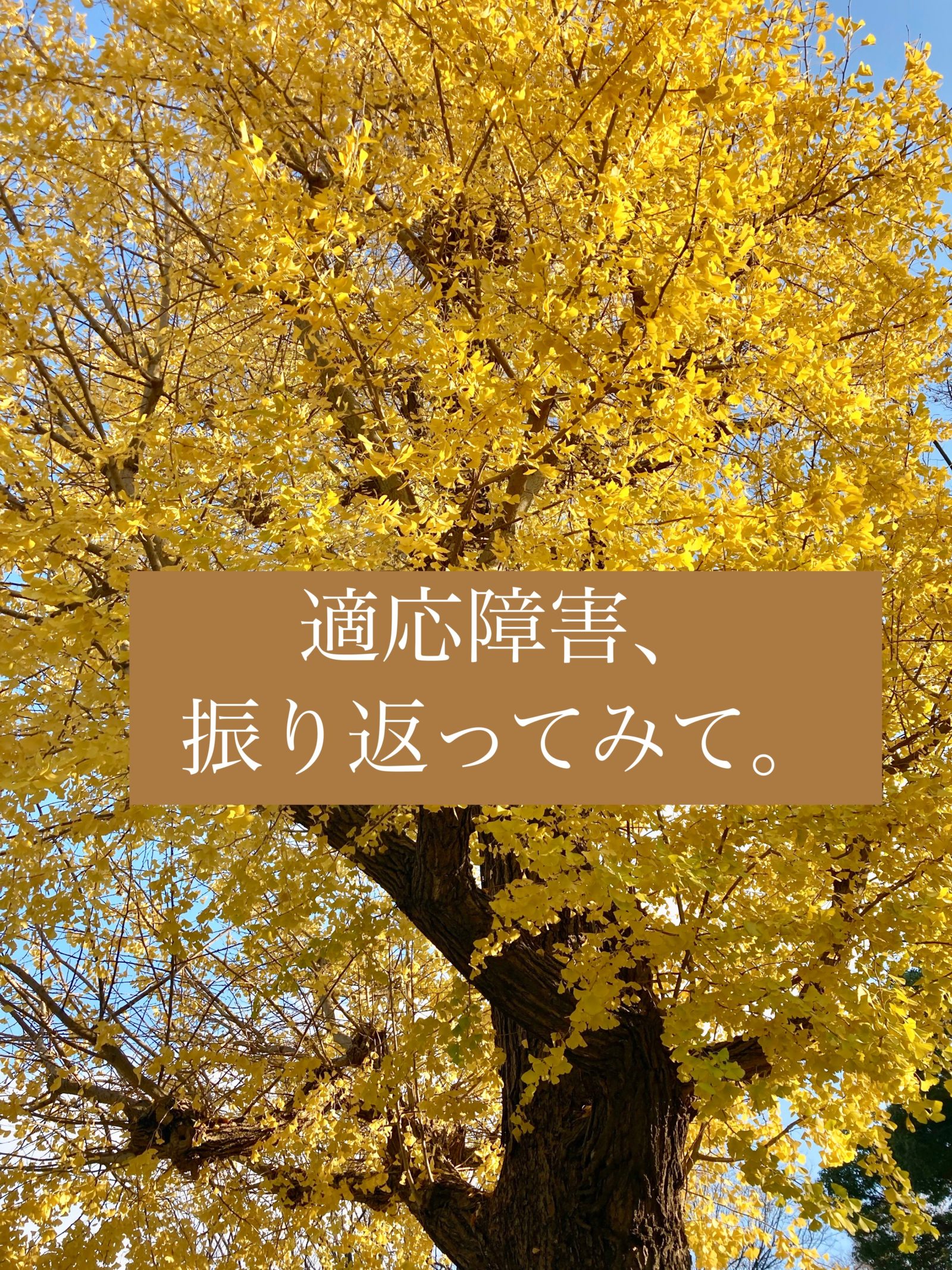 適応障害になってから、そして今後のキャリア。「私、大丈夫？」