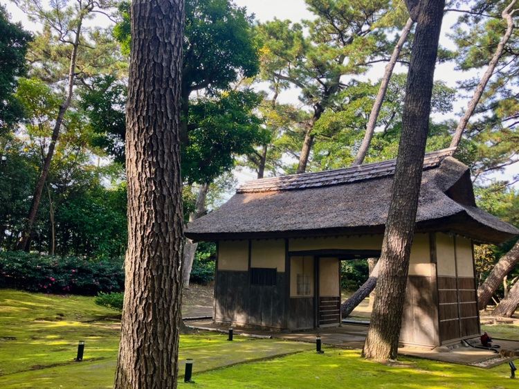 母不在時の「朝ごはん」事情と、恒例の子無し旅【都内から静岡】へ日帰り建築旅