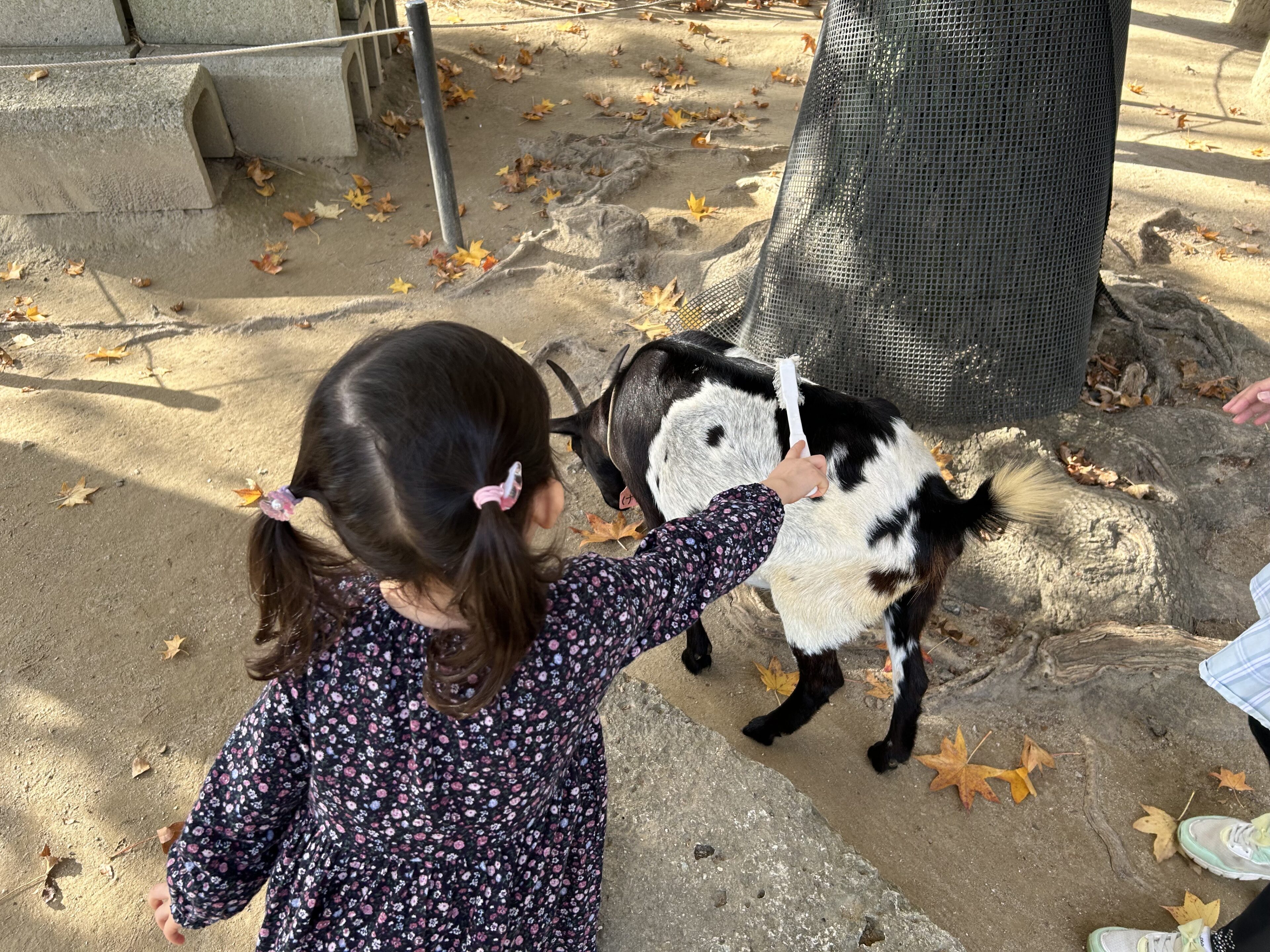 穴場だよ！年少さん～小学3・4年生におすすめ「埼玉県こども動物自然公園」