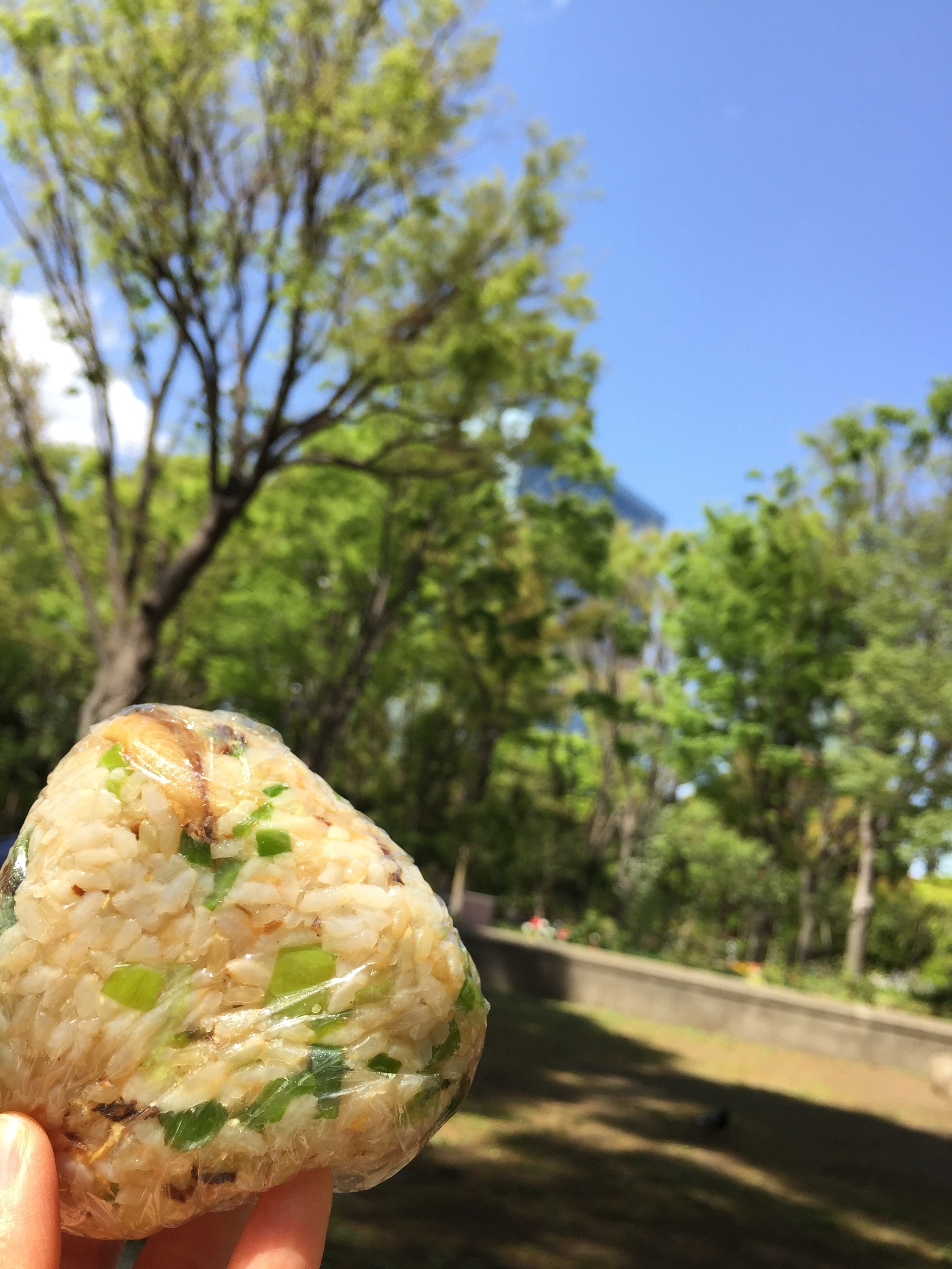 おにぎりのご飯が軟らかすぎた(汗)ときの緊急対策は