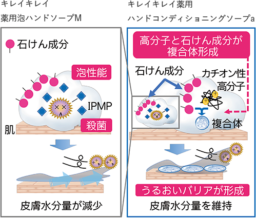 図：キレイキレイ 薬用泡ハンドソープM／キレイキレイ薬用 ハンドコンディショニングソープa