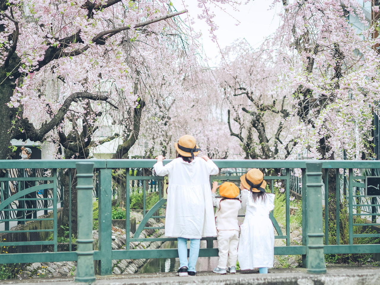 【ママの子ども撮影】満開が待ち遠しい！桜撮影にオススメな小物&ファッションまとめました♪