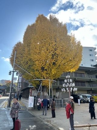 【福岡】身近に紅葉を楽しめる櫛田神社へ