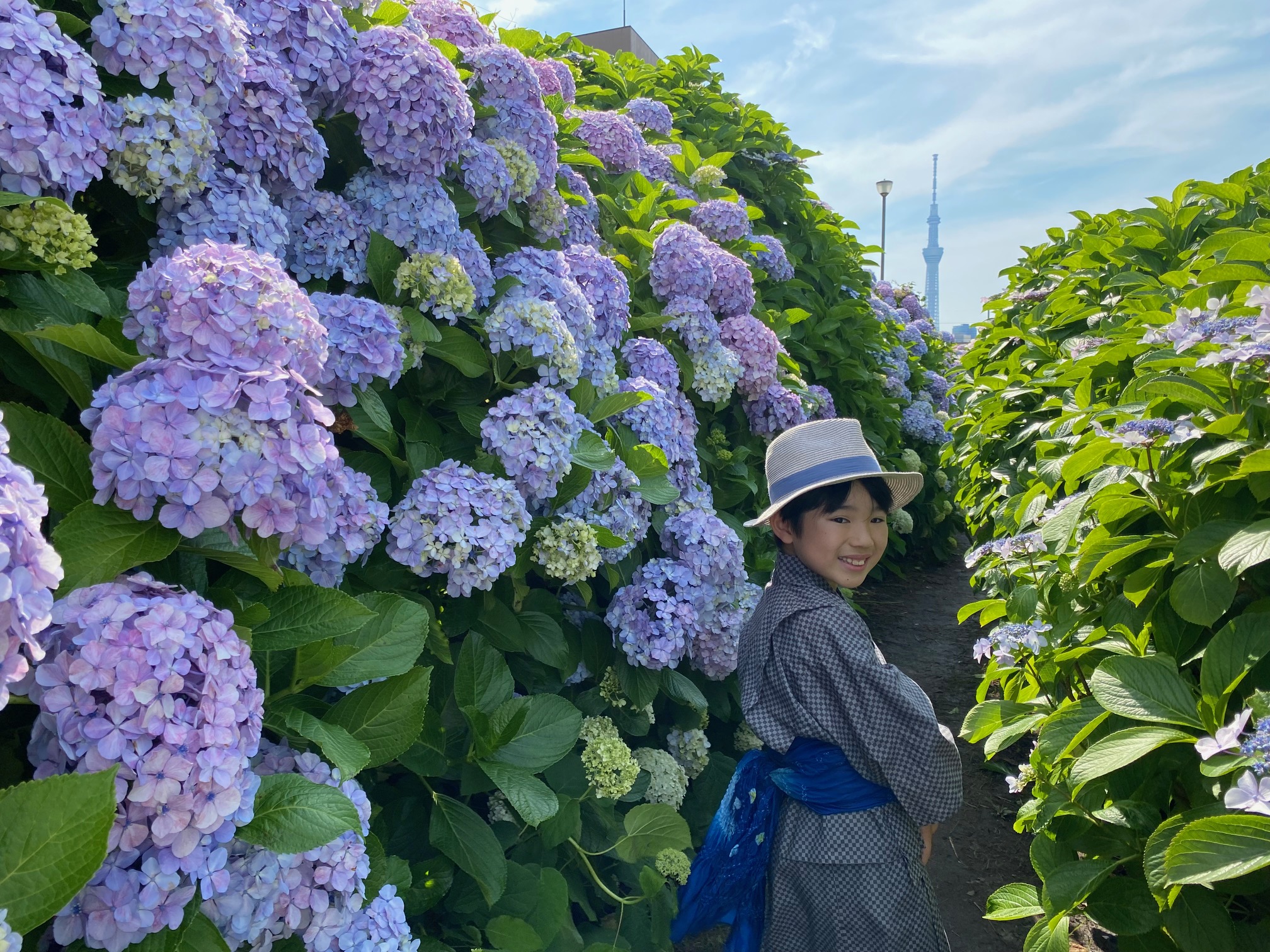 【東京】子どもと行きたい！おすすめの紫陽花スポットを紹介します