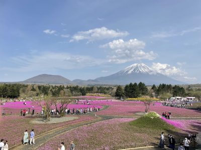 快適、子連れ旅行！河口湖のおすすめスポットまとめ 子育て・しつけおでかけ2022/05/27おでかけ子育て