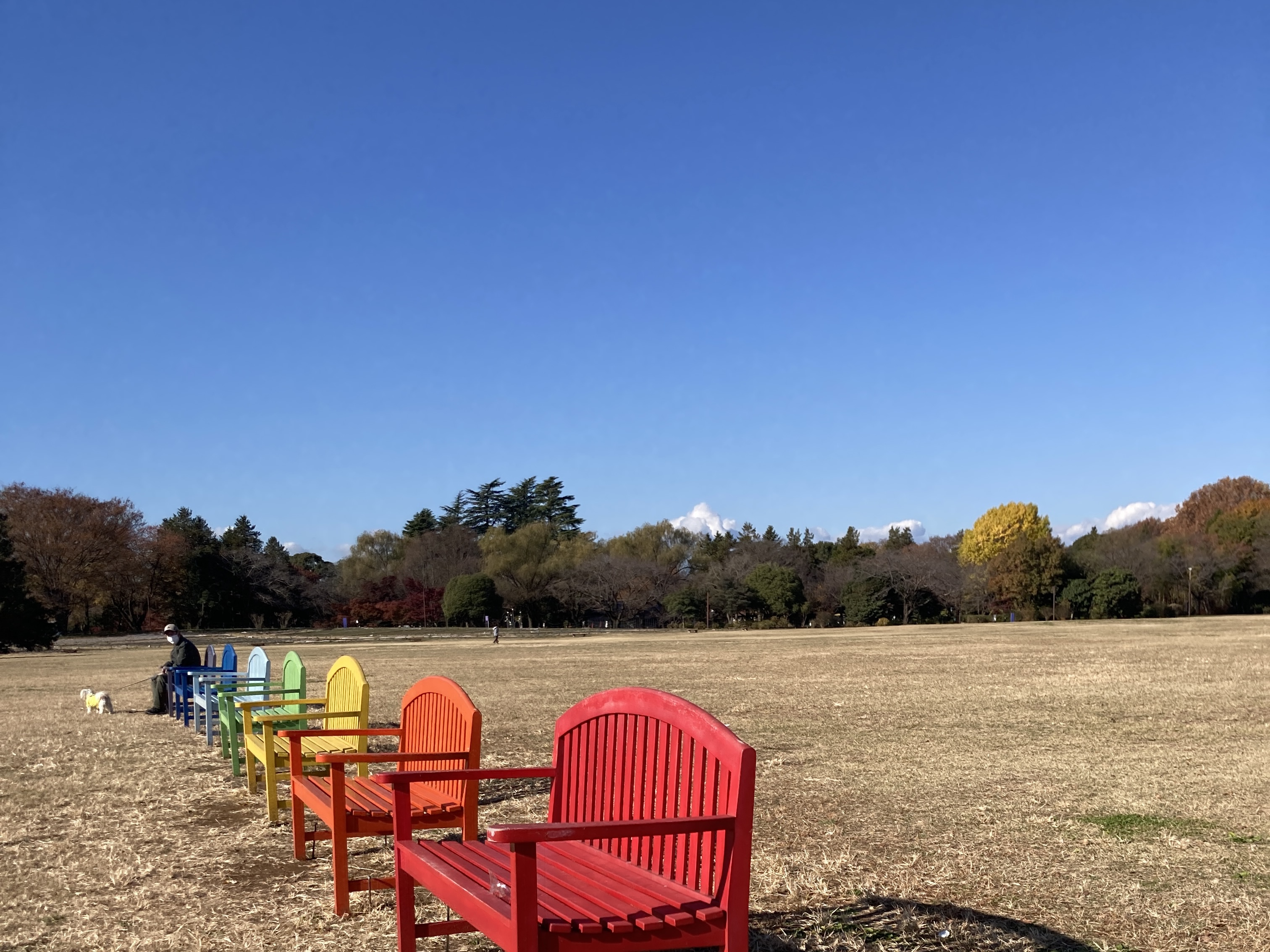 お出かけ！立川の昭和記念公園