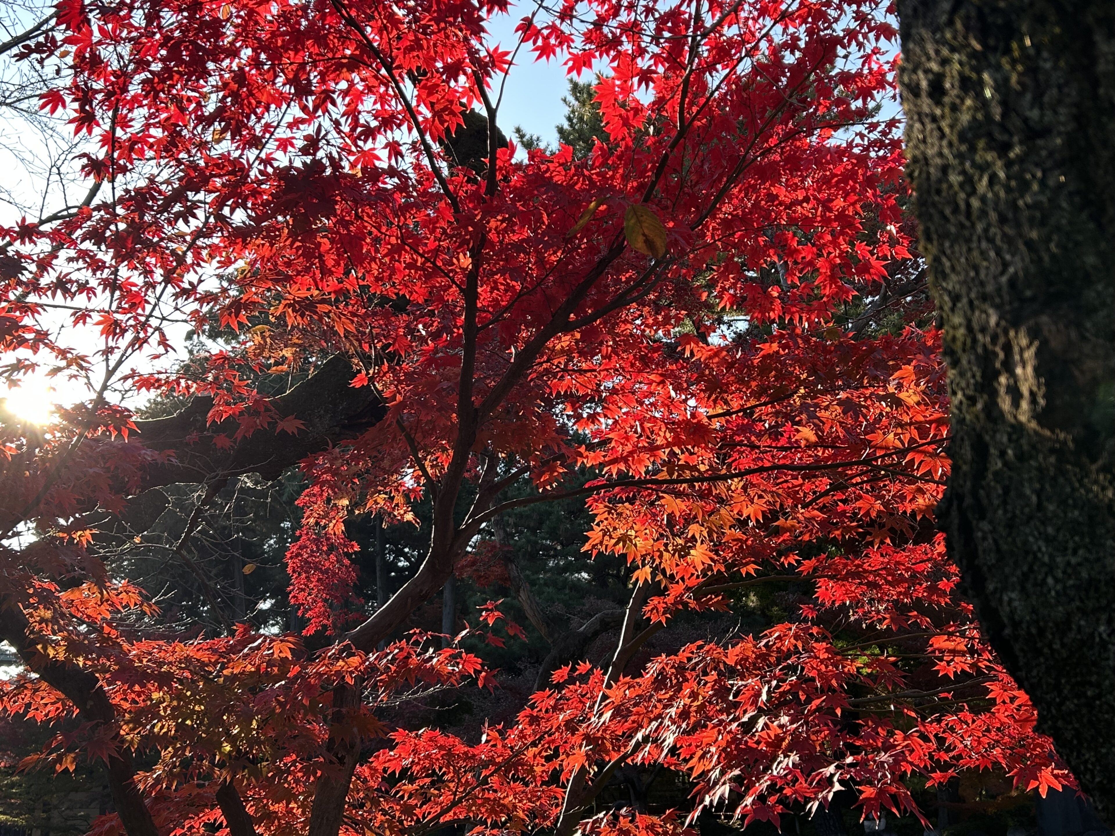 気付いてしまった…。風景写真を「とりあえず」うまく撮る簡単な方法