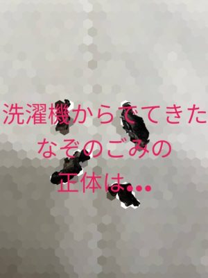 購入して5年 洗濯機から出てきたゴミの正体はまさかのアレ…