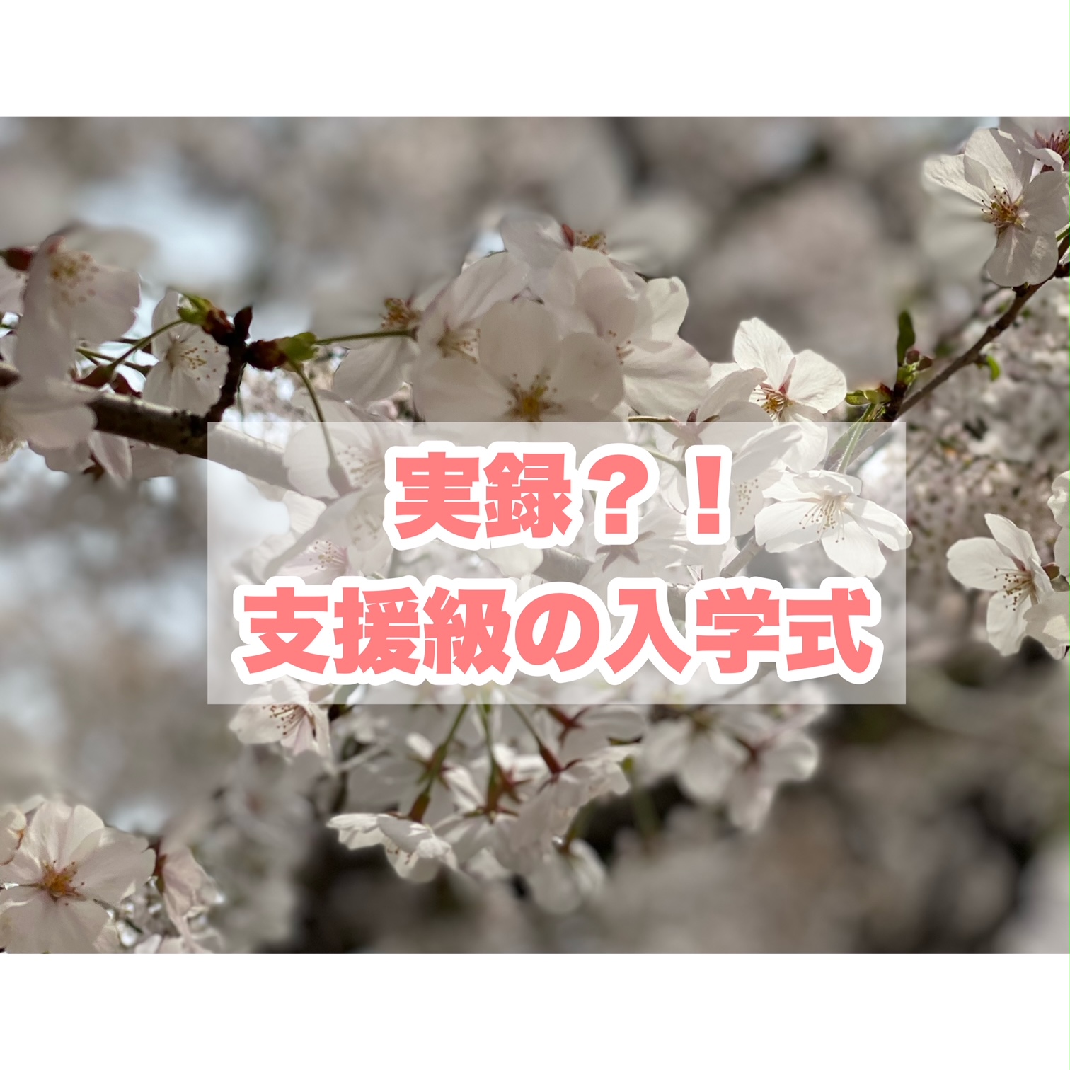 実録！？支援級の入学式ってどんな感じ？支援級の様子をお伝えします