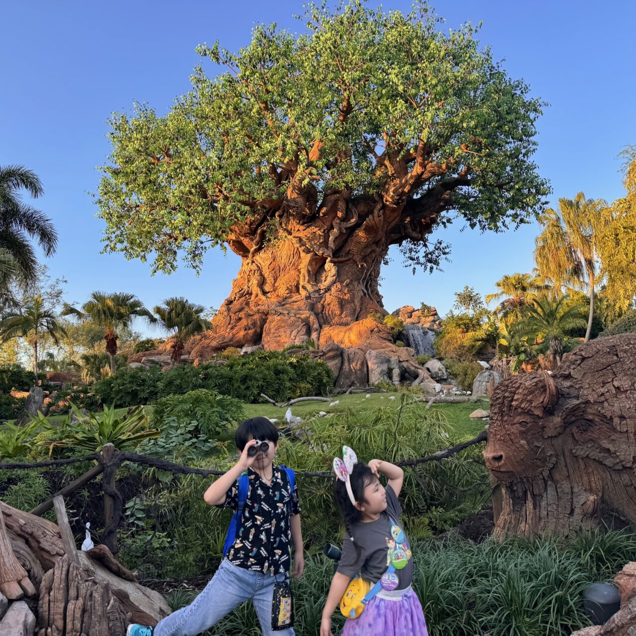 フロリダ【ウォルト・ディズニー・ワールド】はまさに夢の国でした