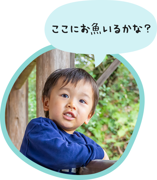 画像：「ここにお魚いるかな？」3歳のお子さん