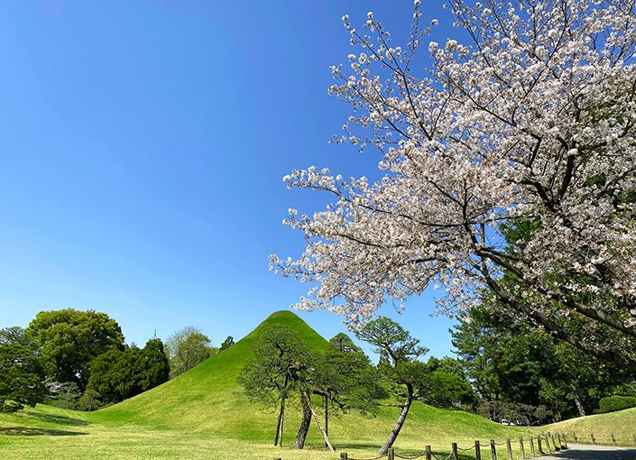 画像：水前寺成趣園（水前寺公園）