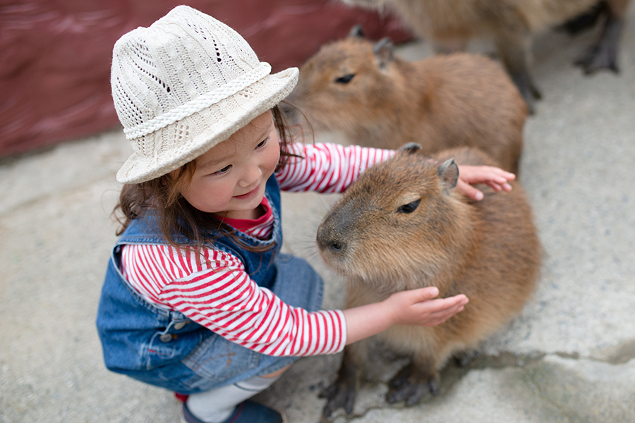 子どもが「したいこと」を見つけるためのサポート法、モンテッソーリ教育の観点から