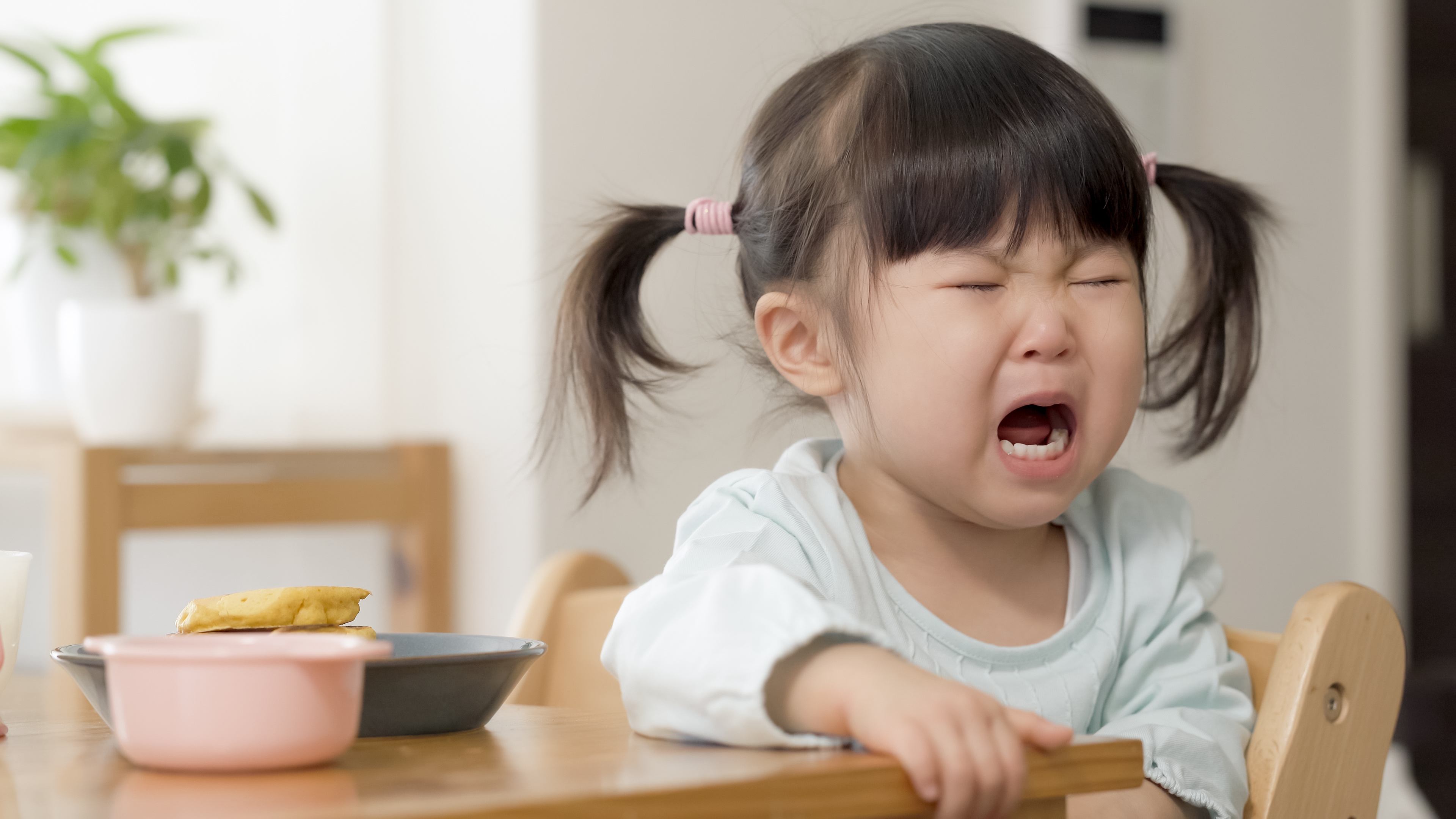 てぃ先生に聞いてみよう!「園から帰った後の、ご飯食べない、お風呂入らない、寝ない、子どもの3大拒否にヘトヘトです」