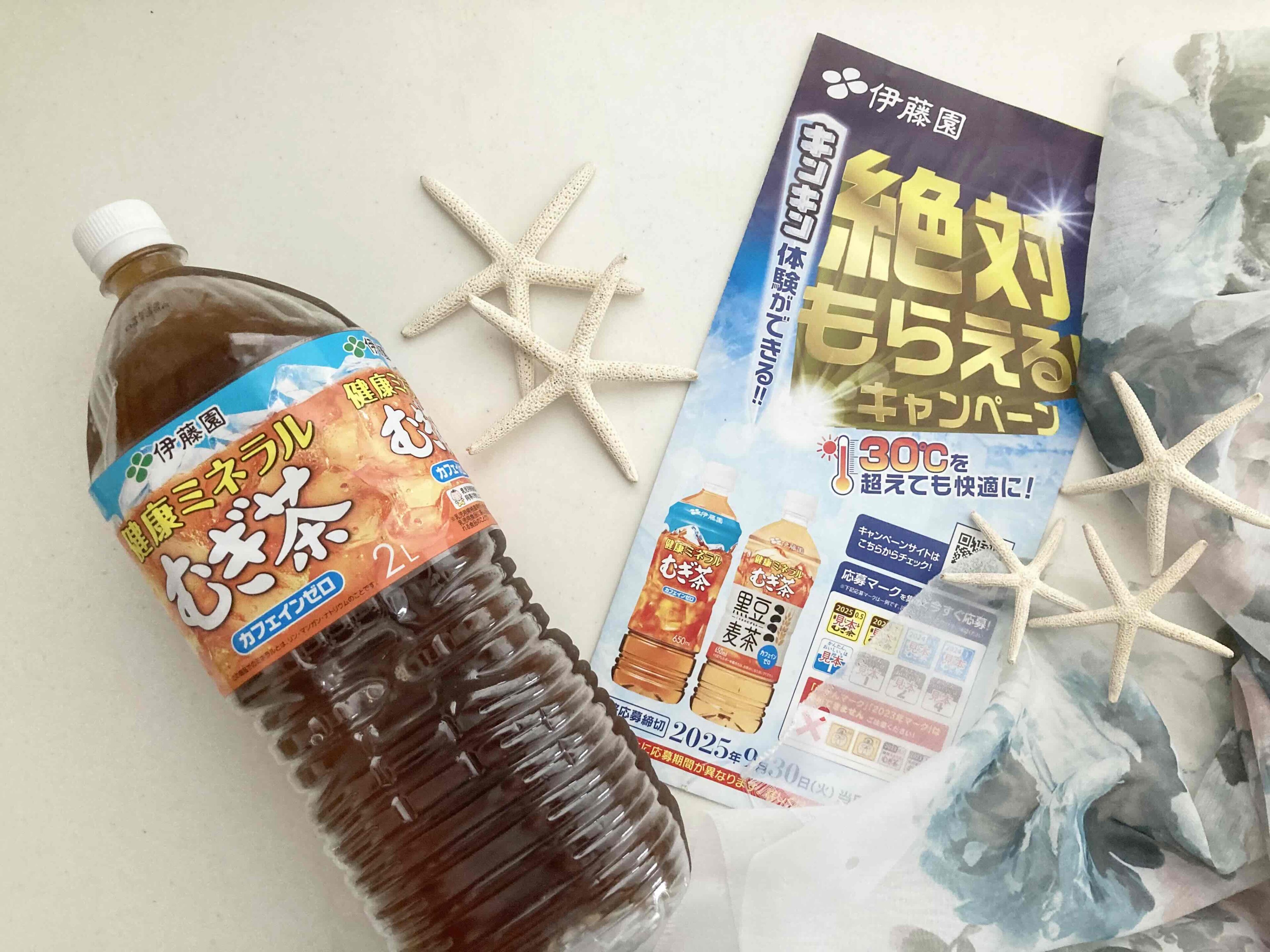 【大人気】「健康ミネラル麦茶」の絶対もらえるキャンペーンが今年もスタート！