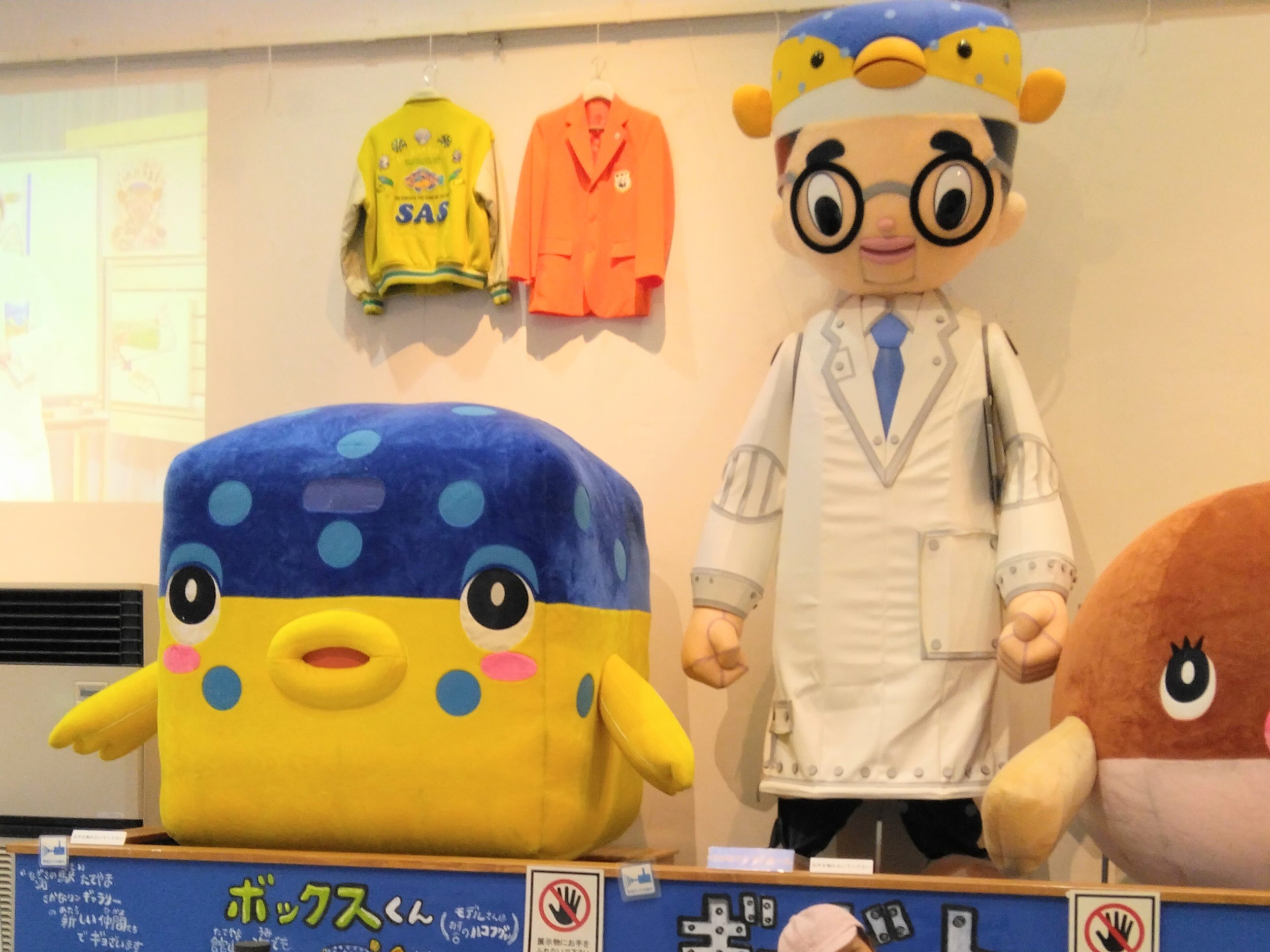 【千葉・房総】おいしい海鮮ついでのビックリ無料スポット