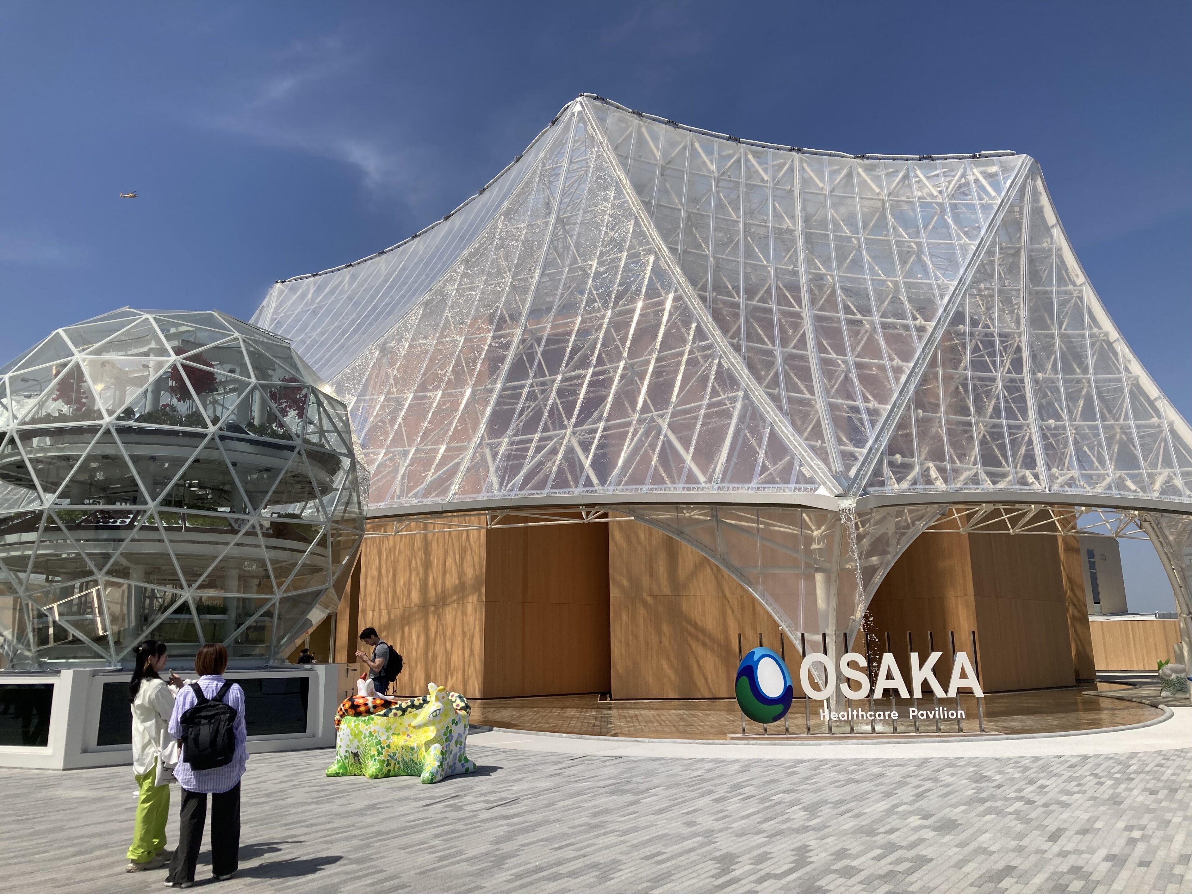 【大阪・関西万博】老化細胞を9.8倍効果的に除去する植物は古くからお茶として利用されてきた!万博会場で江崎グリコが発表