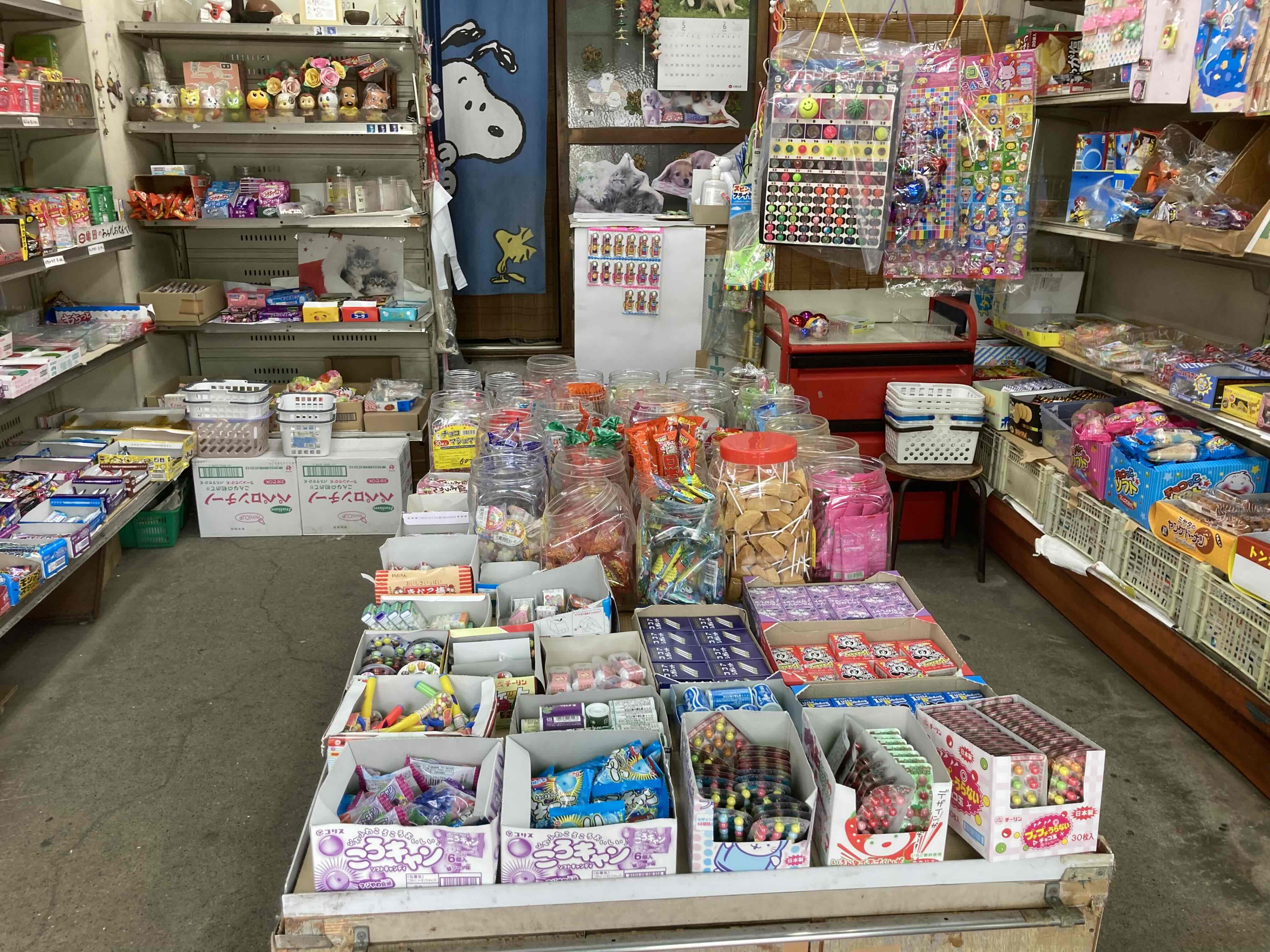令和生まれには新しい!?懐かしの駄菓子屋さんに遊びにいこう!