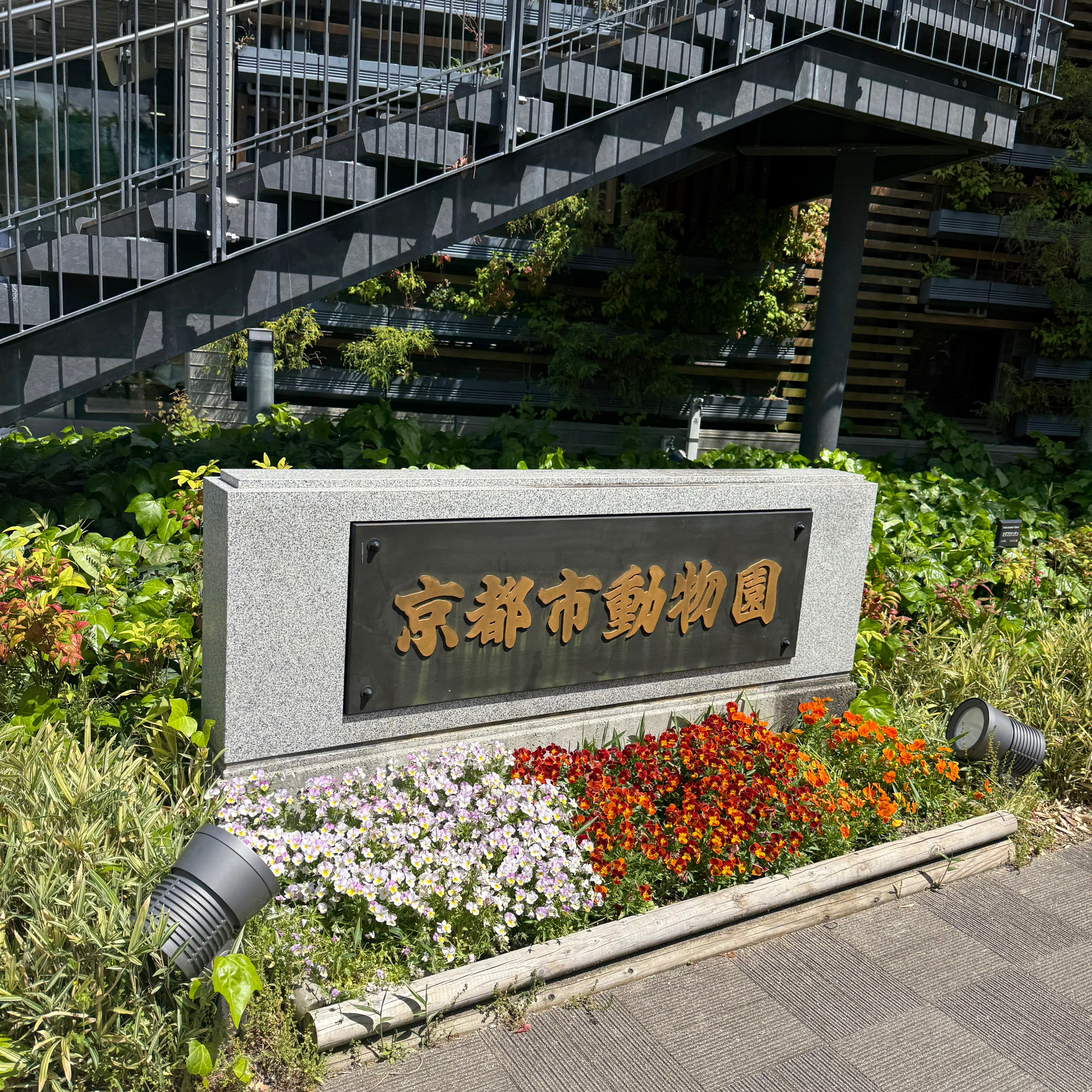 GWの京都でもインバウンドの影響を受けずに日本で2番目に古い歴史がある京都市動物園へ行ってきました
