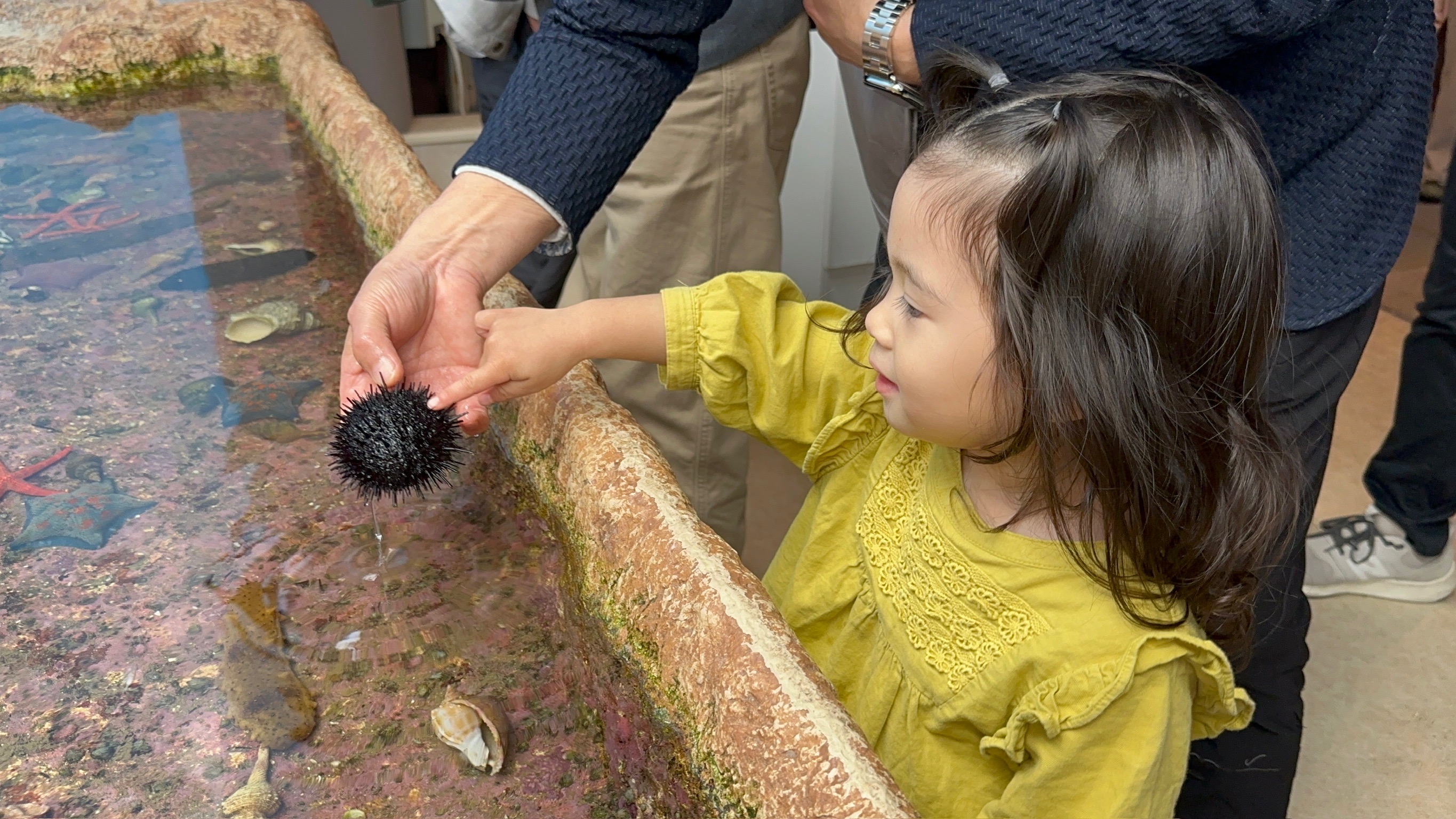 【石川県】2歳娘と2泊3日旅行リアルレポート(2)日本唯一のドライブウェイや水族館へ!