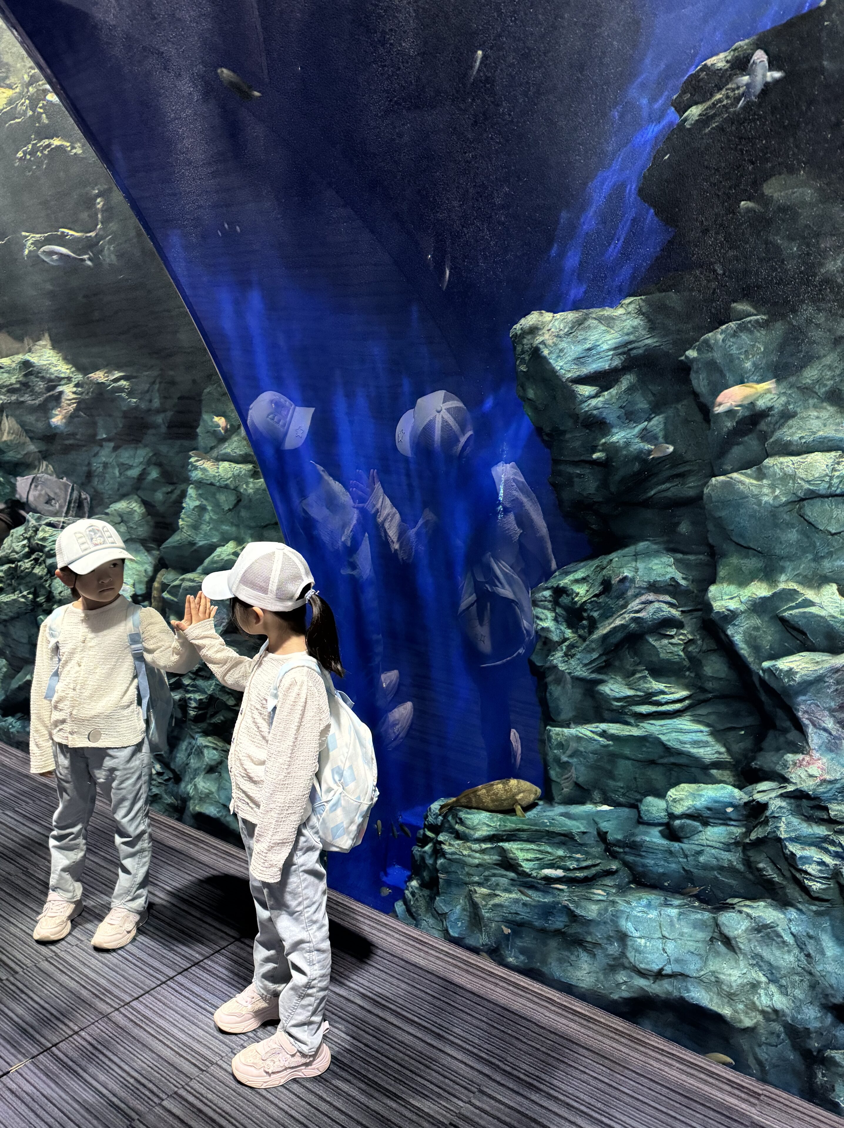 ママ友ゼロからの挑戦!次女の願いを叶える“水族館お誘いミッション”